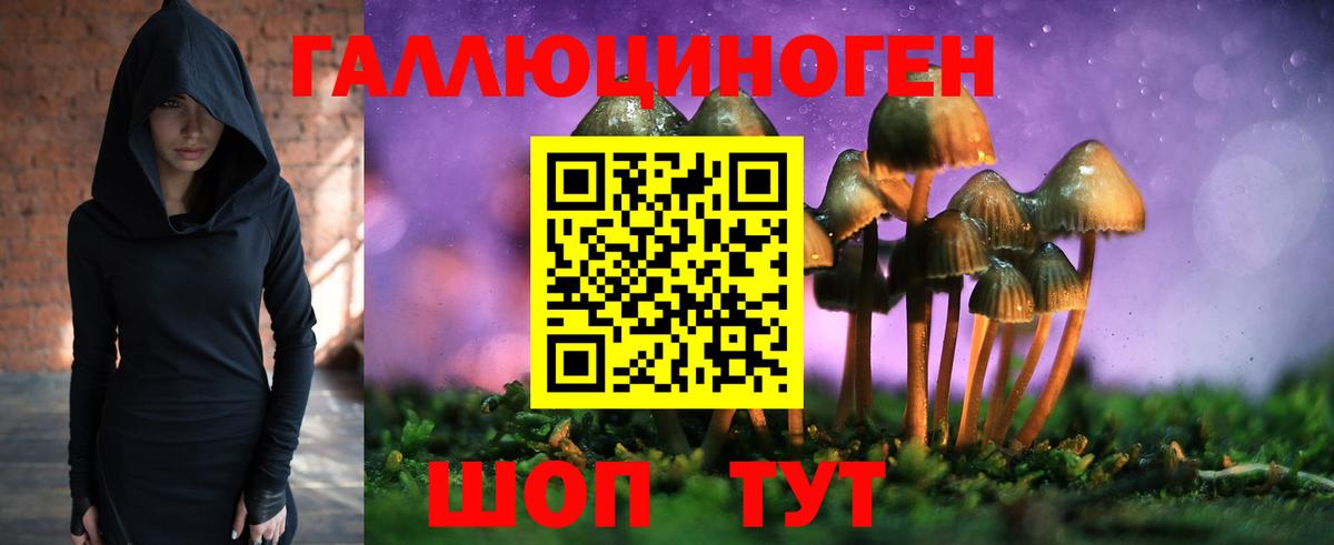 Псилоцибиновые грибы мицелий Альметьевск